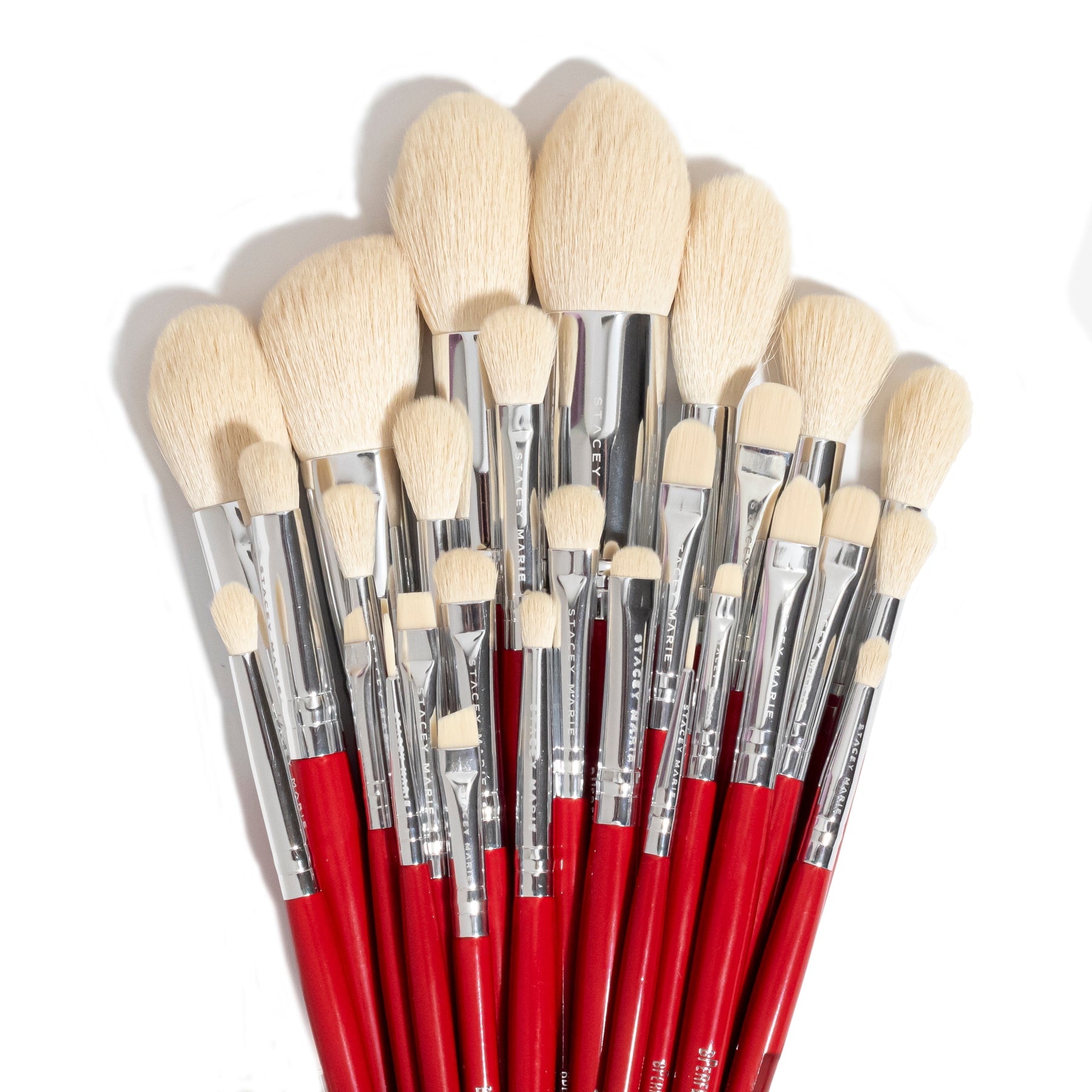 Stacey Marie Carnival V The Artist Edit Brush Set