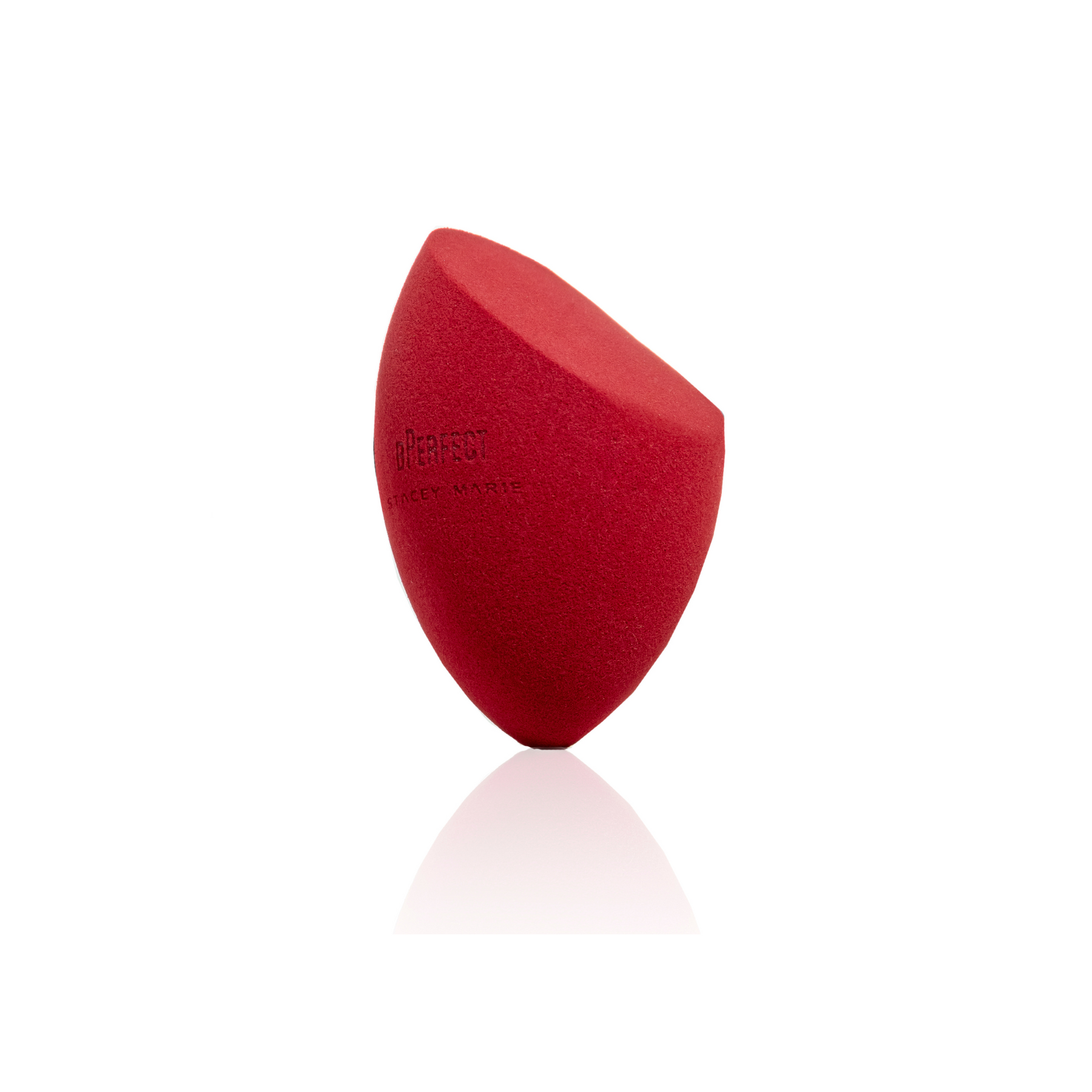 Stacey Marie Carnival V The Artist Edit Brush Set